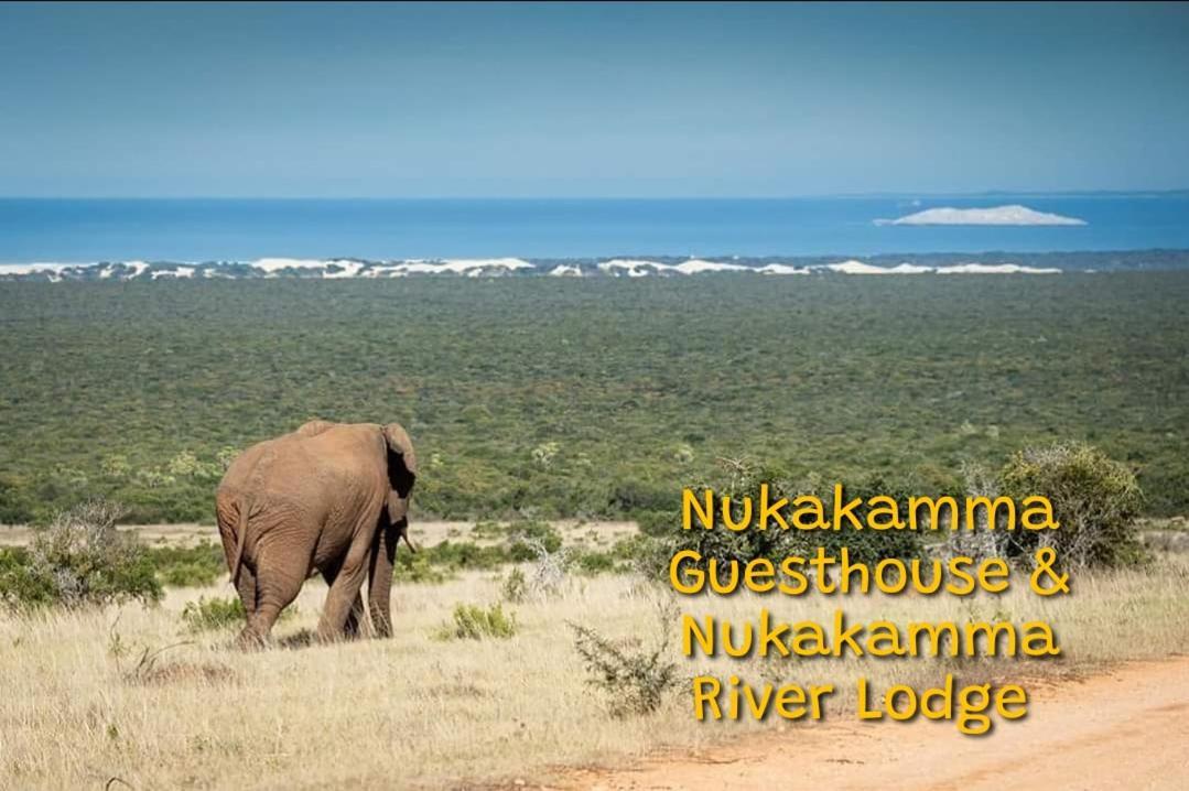 Nukakamma Guest House Colchester Kültér fotó